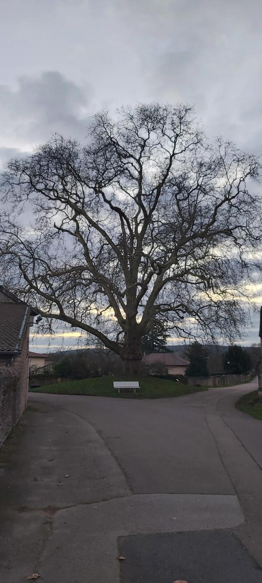 Le Gite Et Puits C'Est Tout Préty Oda fotoğraf